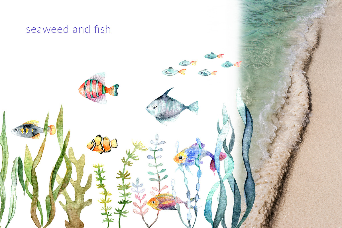 By The Sea – Watercolor Collection, an Illustration by SophieLittleEye (Photo 4 of 12)