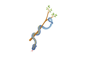 Cartoon color snake. Cute, an Animal Illustration by Things for designers