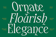 CS Arcane – Decorative Font, a Serif Font by Craft Supply Co. (Thumbnail 2 of 8)