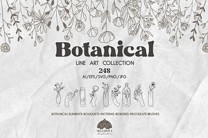 Botanical Line Art Collection