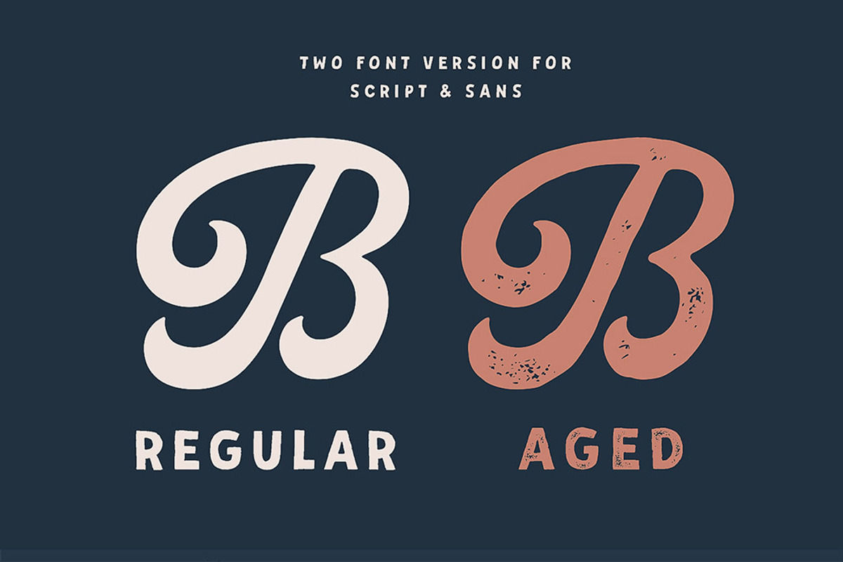 Palmer Script & Sans + Logo Template, a Script Font by Andrey Sharonov (Photo 8 of 17)