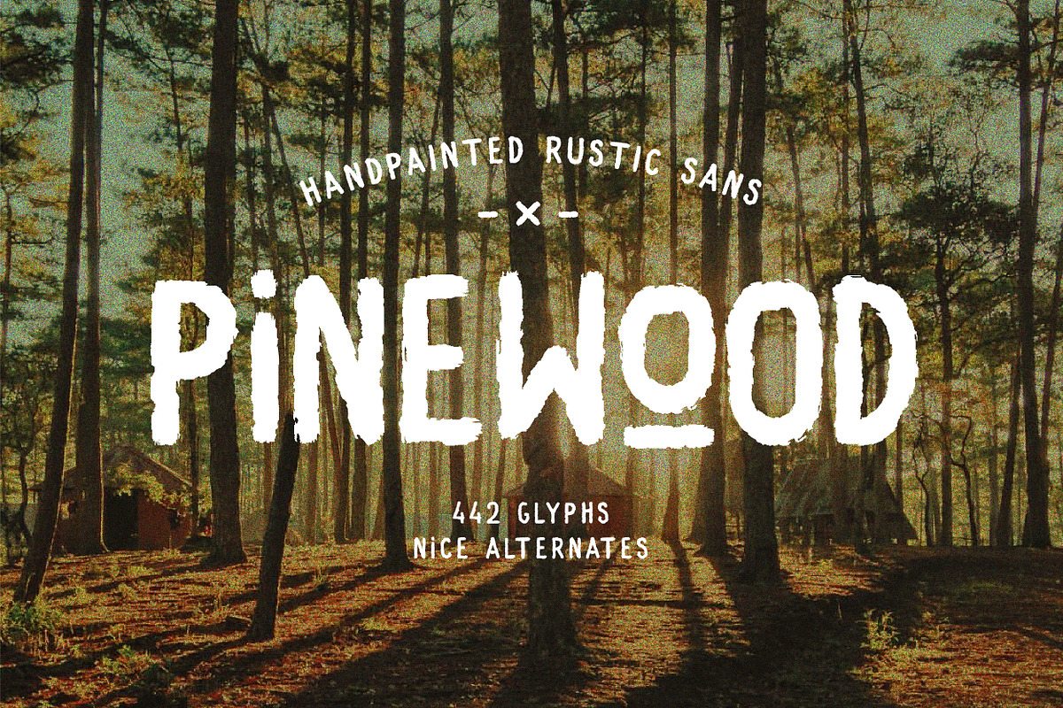 Pinewood - Handpainted Rustic Sans