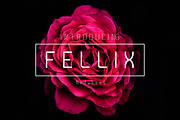 Fellix, a Sans Serif Font by kecikreative (Thumbnail 1 of 7)