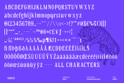 CS Merisa Drawn, a Serif Font by Craft Supply Co. (Thumbnail 8 of 8)