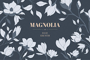 Hand Sketched Magnolia, a Decorative Illustration by Solana (Thumbnail 3 of 10)