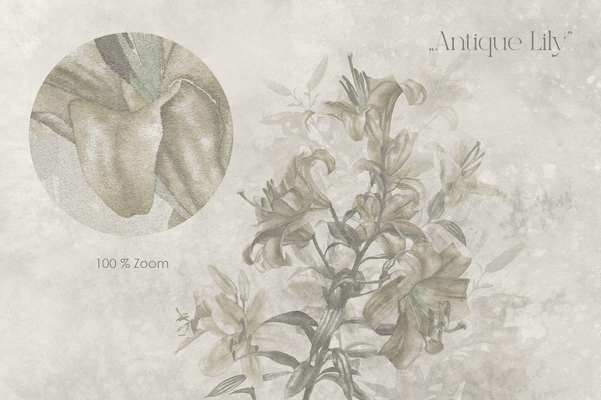 Timeless Lily wall mural set, a Wallpaper Graphic by Timofi Art (Photo 4 of 13)