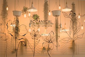 Botanical Hand Drawn Collection