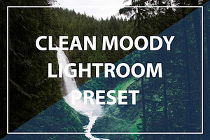 Clean Moody Lightroom Preset