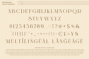 Castre - Serif Font Family (Updated), a Serif Font by Nathatype (Thumbnail 11 of 13)