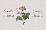 Lettresa Handwritten Typeface, a Script Font by RT Studio (Thumbnail 5 of 11)