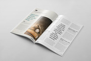 Magazine Template 56, a Magazine Template by pmvch (Thumbnail 40 of 41)
