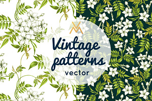 Floral patterns. Jasmine