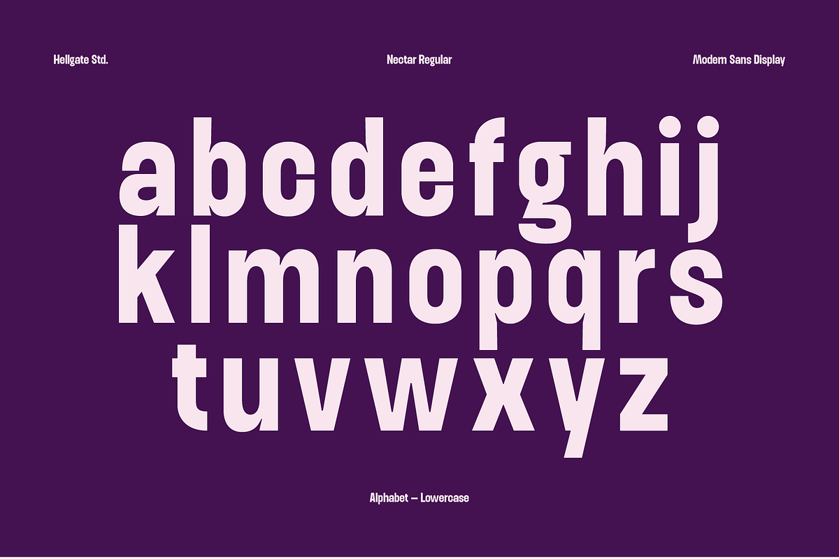 Nectar Modern Sans, a Sans Serif Font by GRVS Studio (Photo 4 of 7)