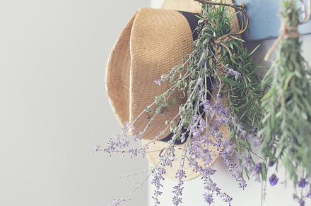 Hanging sage, rosemary, lavender