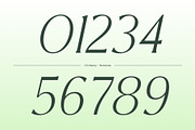 CS Macey – Art Nouveau Font, a Serif Font by Craft Supply Co. (Thumbnail 5 of 8)