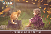 Colorful Fall Photo Overlays preview 5