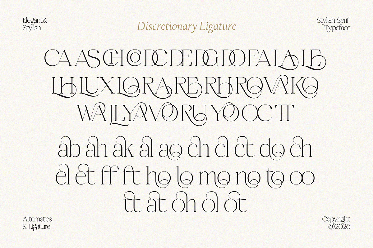 Midnight Obstacle, a Serif Font by Godbless Studio (Photo 7 of 14)