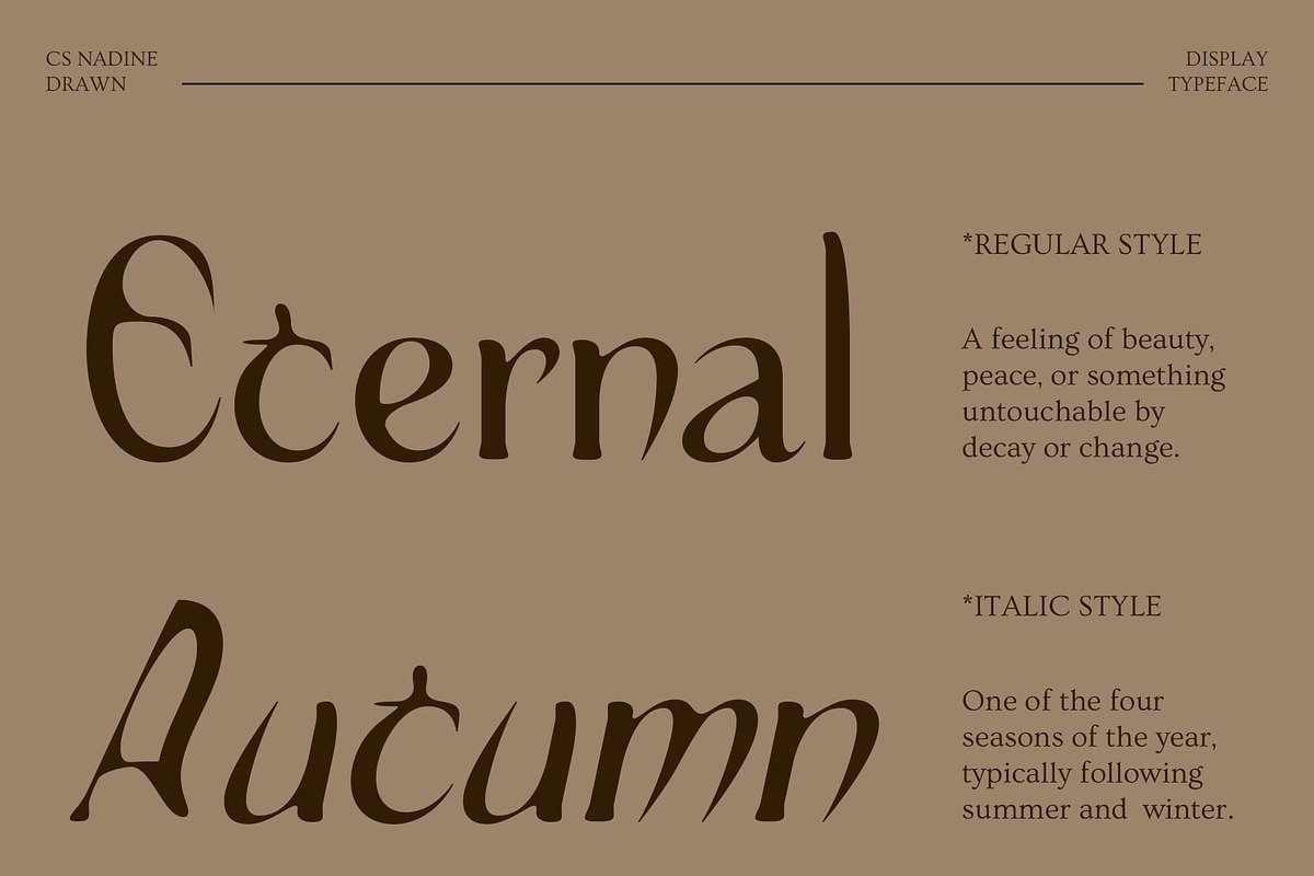 CS Nadine Drawn, a Serif Font by Craft Supply Co. (Photo 2 of 8)