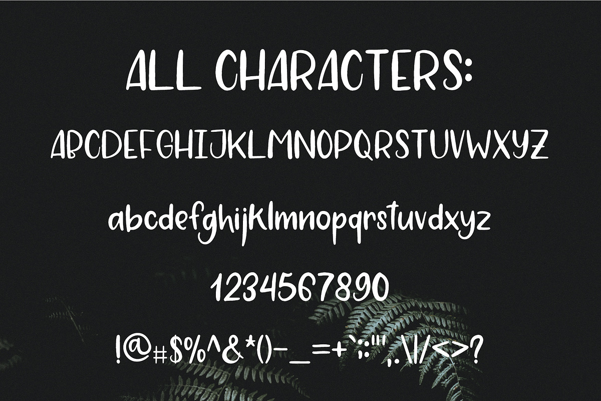 Strawberry Jam. Brush Font. preview 5