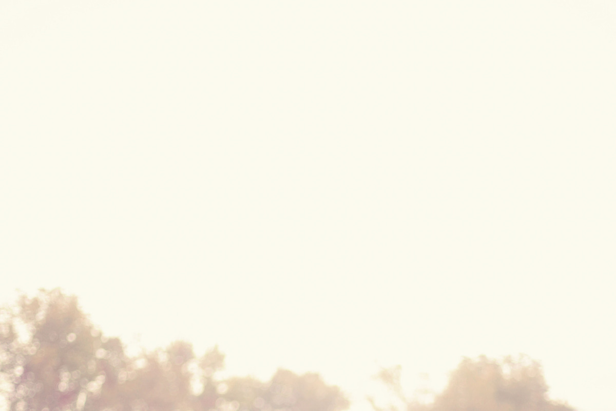 10 Gold Light Lightroom Presets, an Action Add-On by Winsome Effects & Co. (Photo 2 of 4)