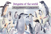 Penguins of de world watercolor set, an Animal Illustration by Art & Things (Thumbnail 1 of 5)