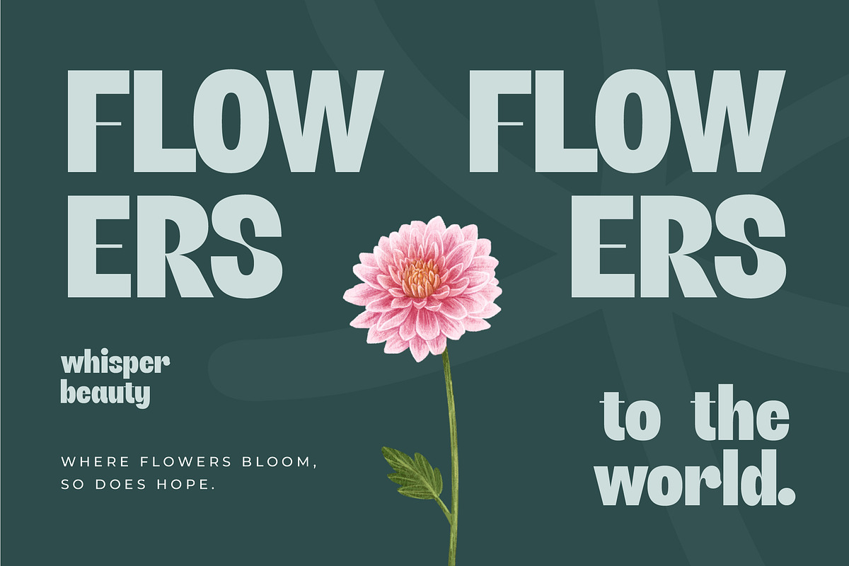 Giftson Playful Display Serif, a Serif Font by timelesstype.co (Photo 3 of 20)
