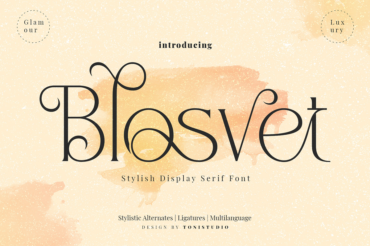 Blosvet, a Serif Font by ToniStudio (Photo 1 of 12)