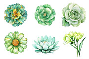 Green Blossom Spring Clipart, an Illustration by CreationArt (Thumbnail 3 of 5)