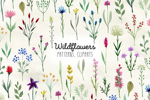 Watercolor Wildflowers
