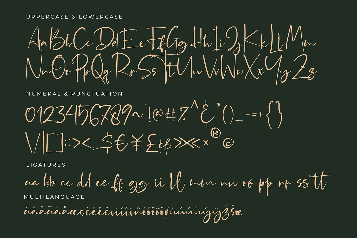 Desttina Font (New Update!), a Script Font by Awanstudio (Photo 8 of 8)