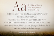 Lamire Modern - Light Ligature Serif, a Serif Font by Bale Type (Thumbnail 10 of 10)