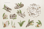 Dinosaur Skeletons Clip Art, an Illustration by Alena Sid (Thumbnail 7 of 13)