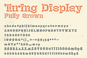 Turing Display