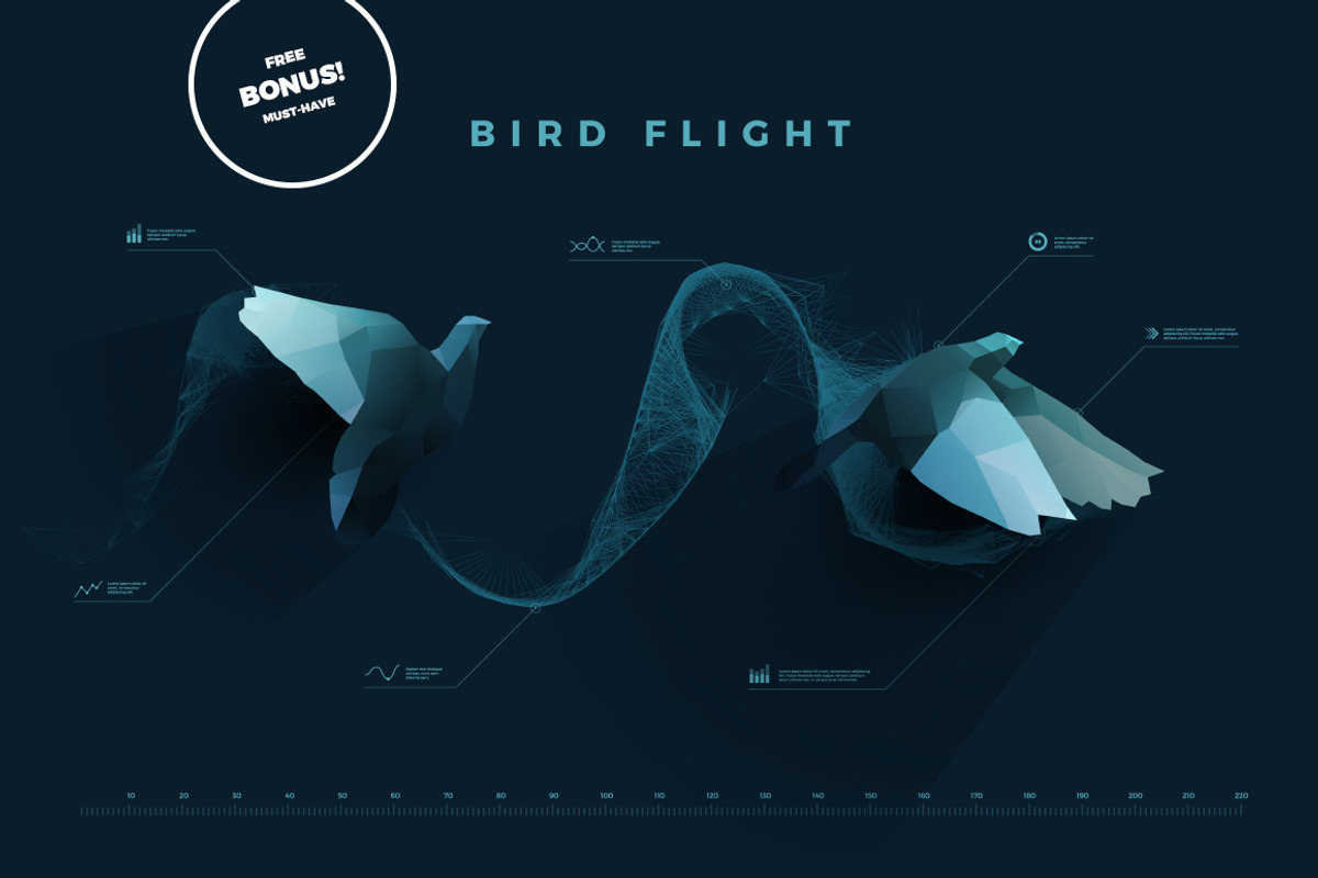 Polygonal Birds, an Animal Illustration by blauananas (Photo 5 of 5)