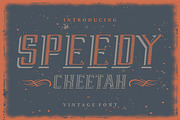 Speedy Cheetah - Retro Display Font, a Serif Font by Vintage Font Lab (Thumbnail 1 of 8)