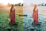 HummingBird Lightroom Presets Pack, an Action Add-On by PixelHive Pro (Thumbnail 3 of 9)
