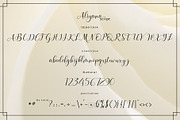 Aliyana script, a Script Font by Sulthan Studio (Thumbnail 8 of 8)