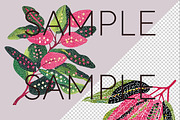 Aboriginal-Style Eucalyptus Clipart, a Decorative Illustration by Pawcasso's Portraits (Thumbnail 8 of 9)