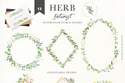 HERB BOTANIST watercolor clipart, a Decorative Illustration by Momo Studio (Thumbnail 11 of 15)