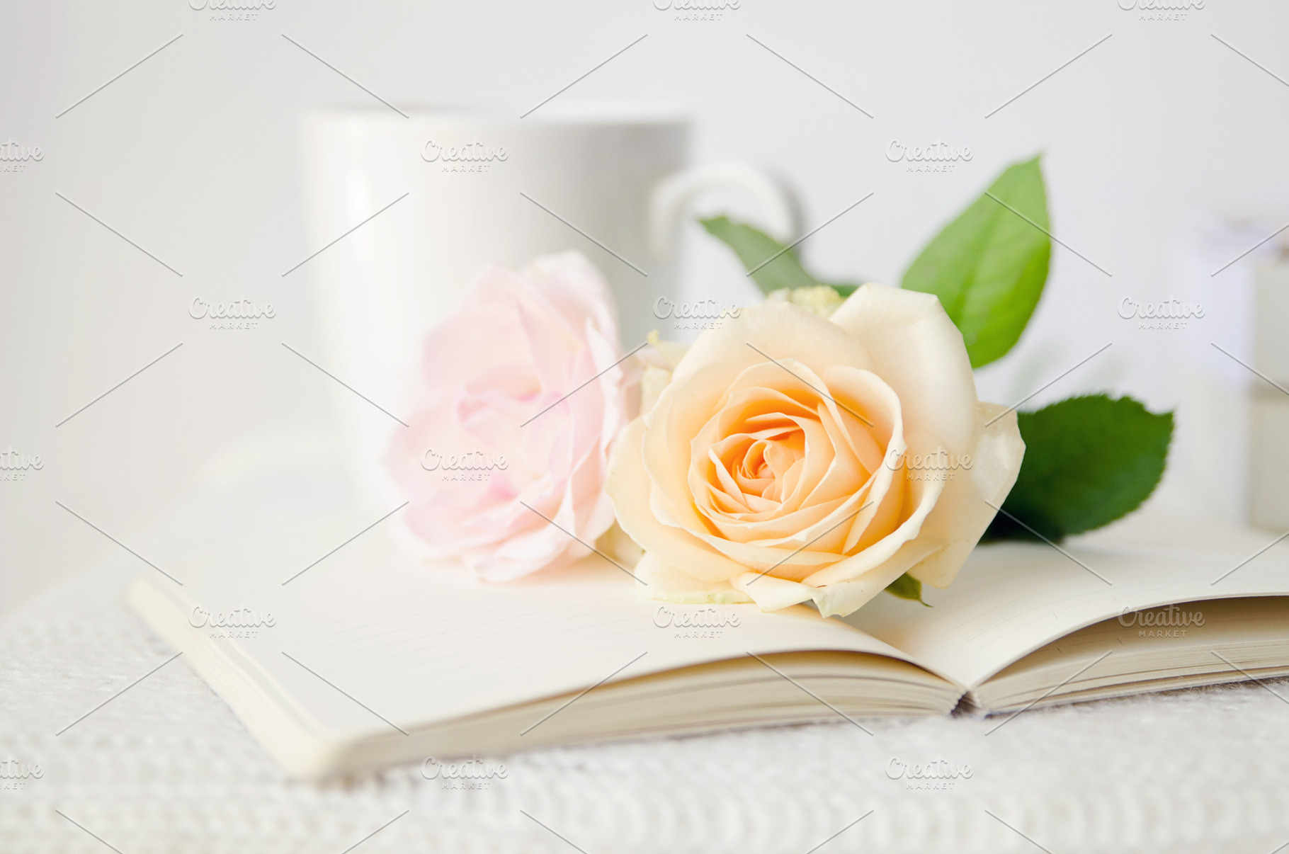 Flowers white rose romantic mug stock photo containing flowers and white, a Business Photo by The LUV Stock Photos