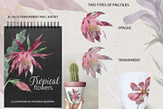 Set of transparent watercolor flower, a Decorative Illustration by RushkinaAntonina (Thumbnail 4 of 5)