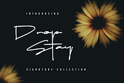 Drop Stay Signature, a Script Font by Dierstudio (Thumbnail 1 of 13)
