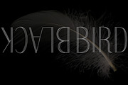 Spritely Hand — Organic Display Font, a Handwritten Font by Kevin Foley Fonts (Thumbnail 7 of 11)