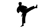 Dynamic martial arts kick silhouette, an Illustration by Amazin_art (Thumbnail 2 of 36)