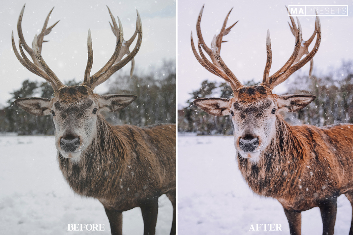 10 WINTER SNOW Lightroom Presets, a Preset Add-On by MaPresets (Photo 14 of 14)
