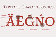 Mr Darcy, a Serif Font by insigne (Thumbnail 3 of 5)