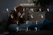 Sadnight | Script Font, a Handwritten Font by Scratchones (Thumbnail 8 of 9)