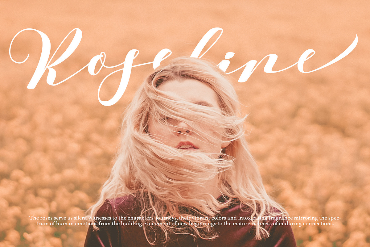Barbara - A Classy Script Font, a Script Font by Aksapix Studio (Photo 11 of 11)
