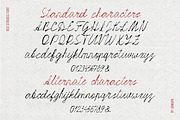 Red Strokes | Bold Messy Script Font, a Script Font by AnMark (Thumbnail 6 of 9)
