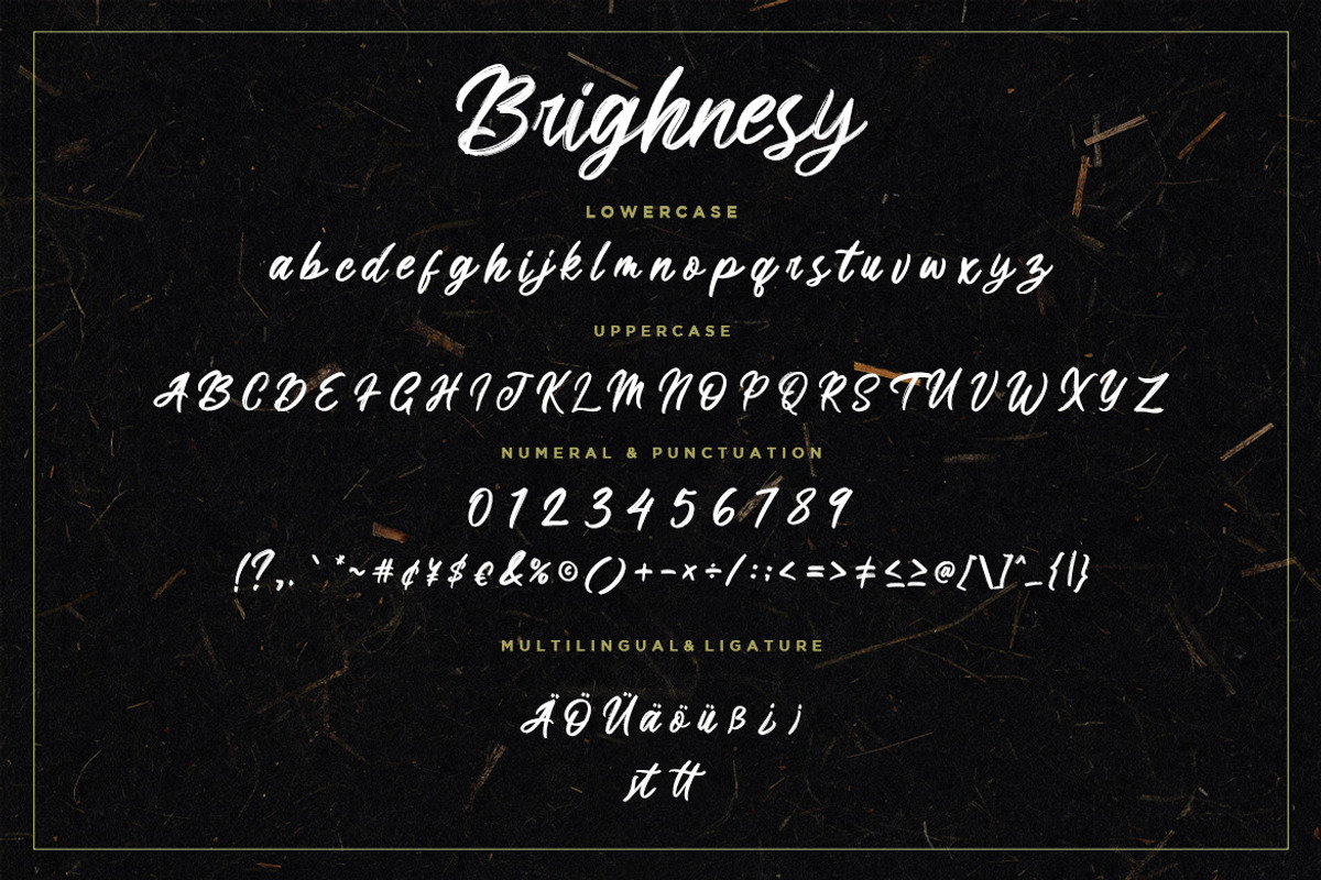 Brighnesy Hand Brush Business Font preview 7